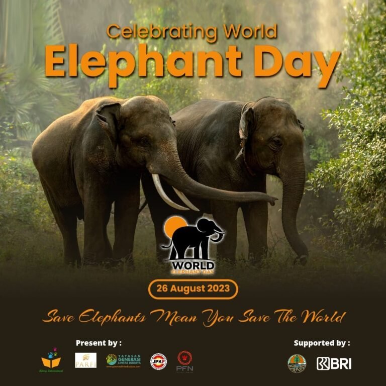 Memperingati Hari Gajah Sedunia: Melindungi Kekayaan Alam dan Keanekaragaman Hayati